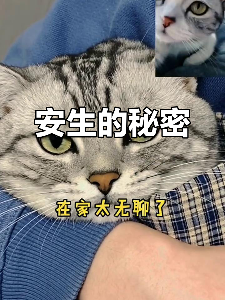 安生心事大揭秘,偷偷看泡芙照片竟然是因为这个!