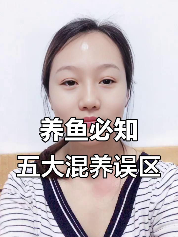 观赏鱼混养五大禁忌,避免这些雷区让你的水族更健康