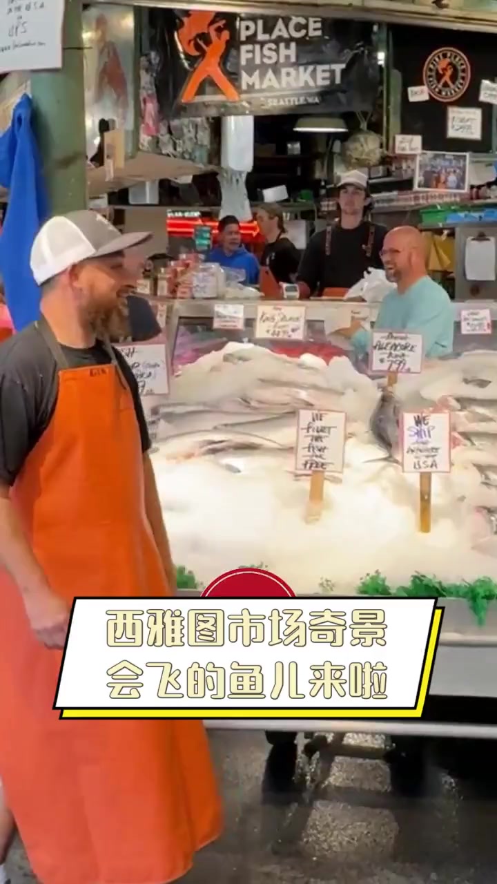 西雅图市场奇景,会飞的鱼儿来啦