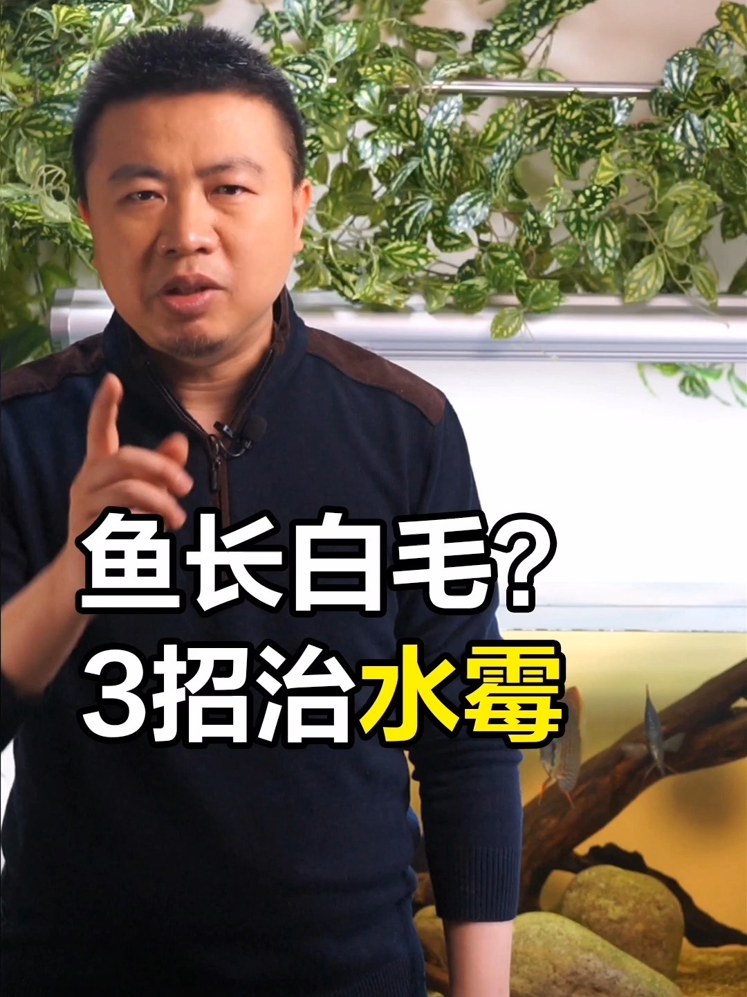 鱼长白毛怎么办?那是得水霉了,这么治!