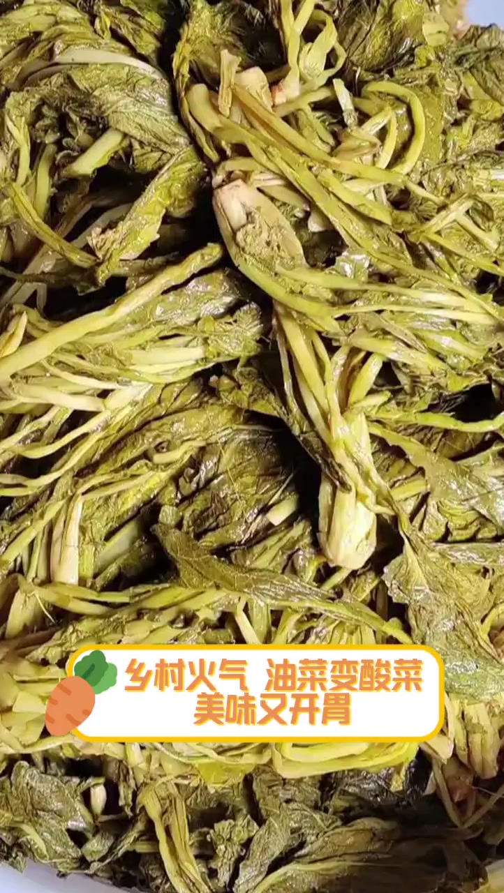 乡村火气,油菜变酸菜,美味又开胃