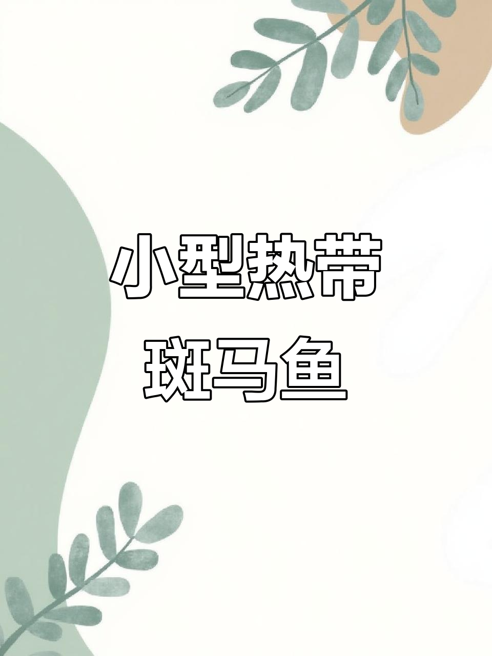翡翠长鳍蝶翼斑马鱼：小型热带观赏鱼的理想选择
