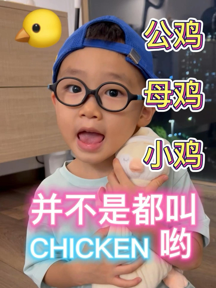 亲子英语:公鸡母鸡小鸡的英语不一样