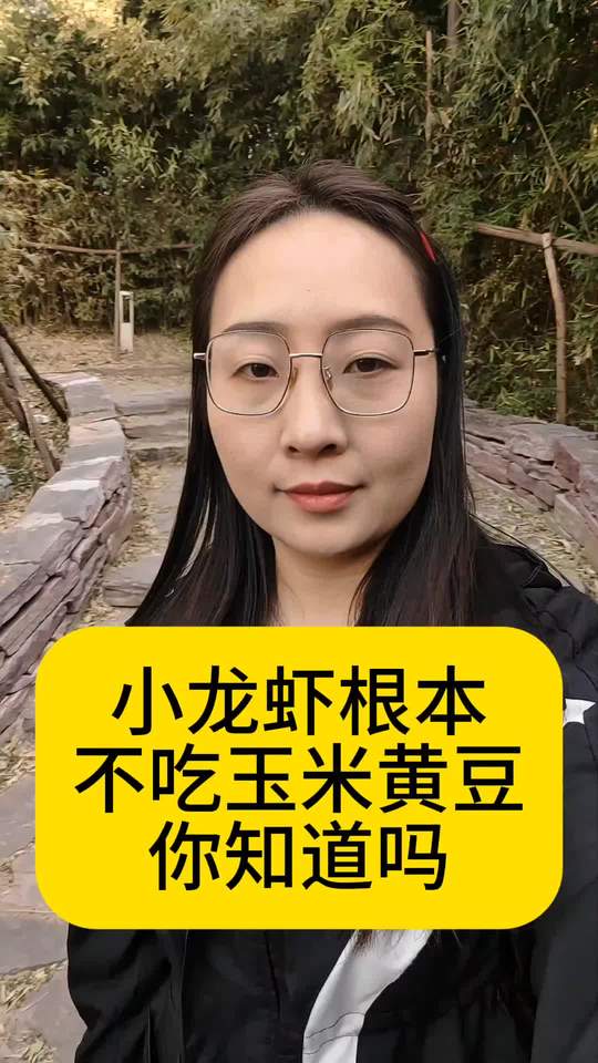 小龙虾不吃玉米黄豆,你知道小龙虾养殖技术吗?