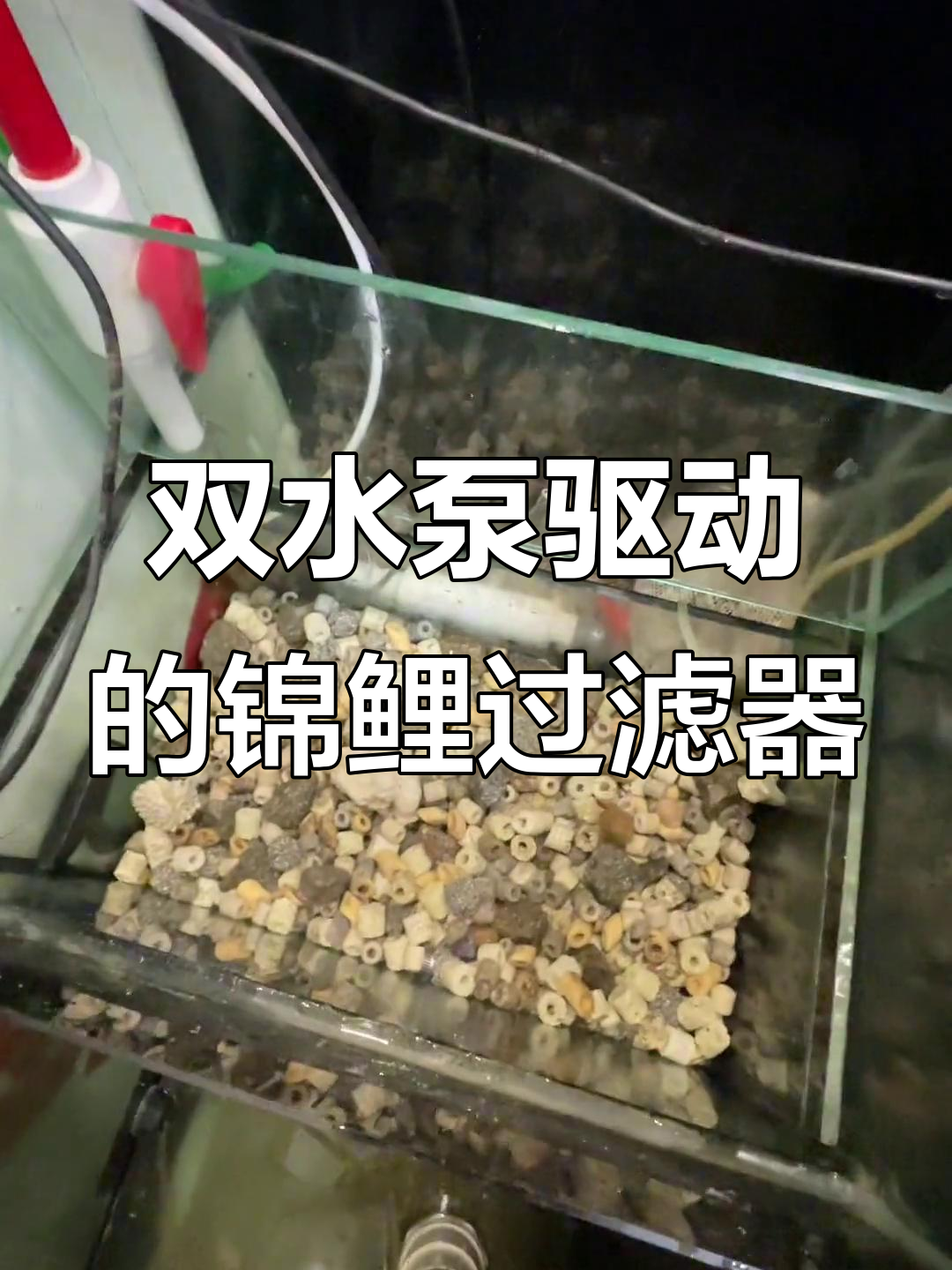 锦鲤地缸过滤系统揭秘:简单实用的双循环设计