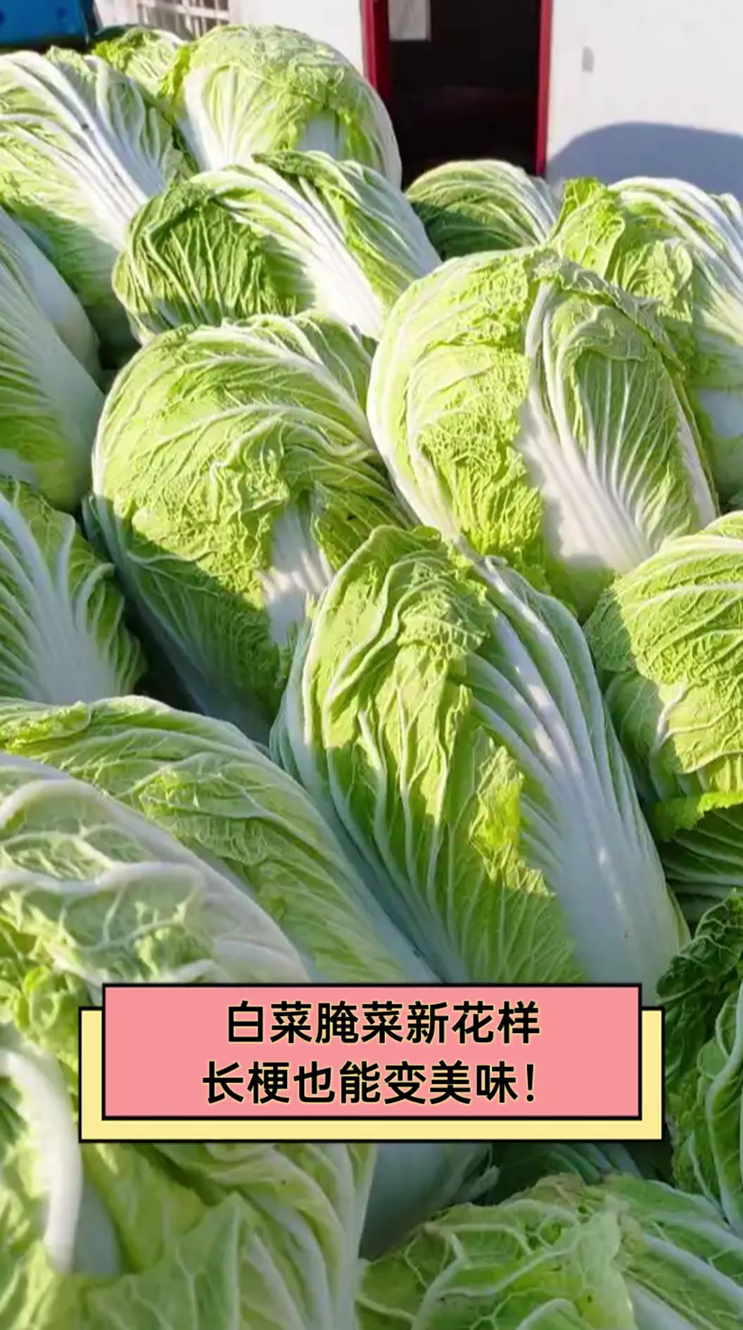 白菜腌菜新花样,长梗也能变美味!