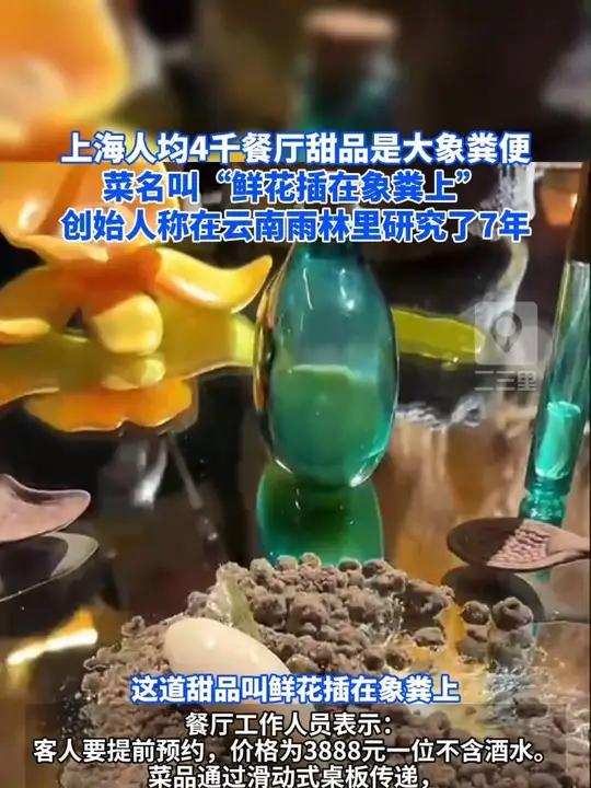 上海人均4千餐厅甜品是大象粪便 菜名叫“鲜花插在象粪上” 创始人称在云南雨林里研究了7年