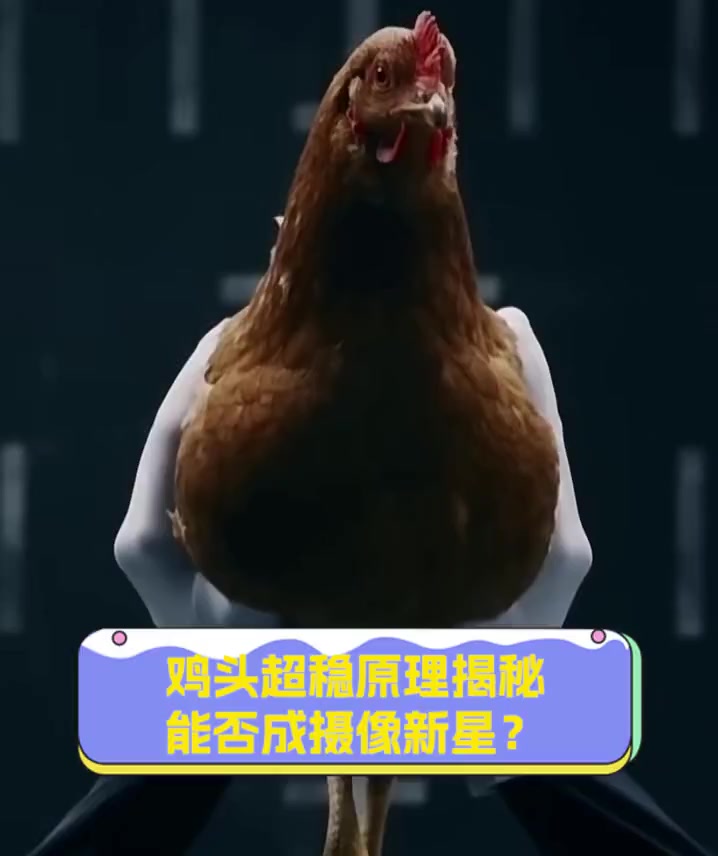 鸡头超稳原理揭秘,能否成摄像新星?