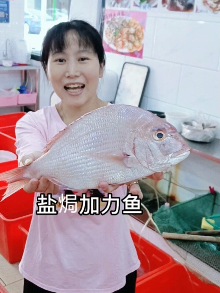 真鯛鱼、盐焗加力鱼