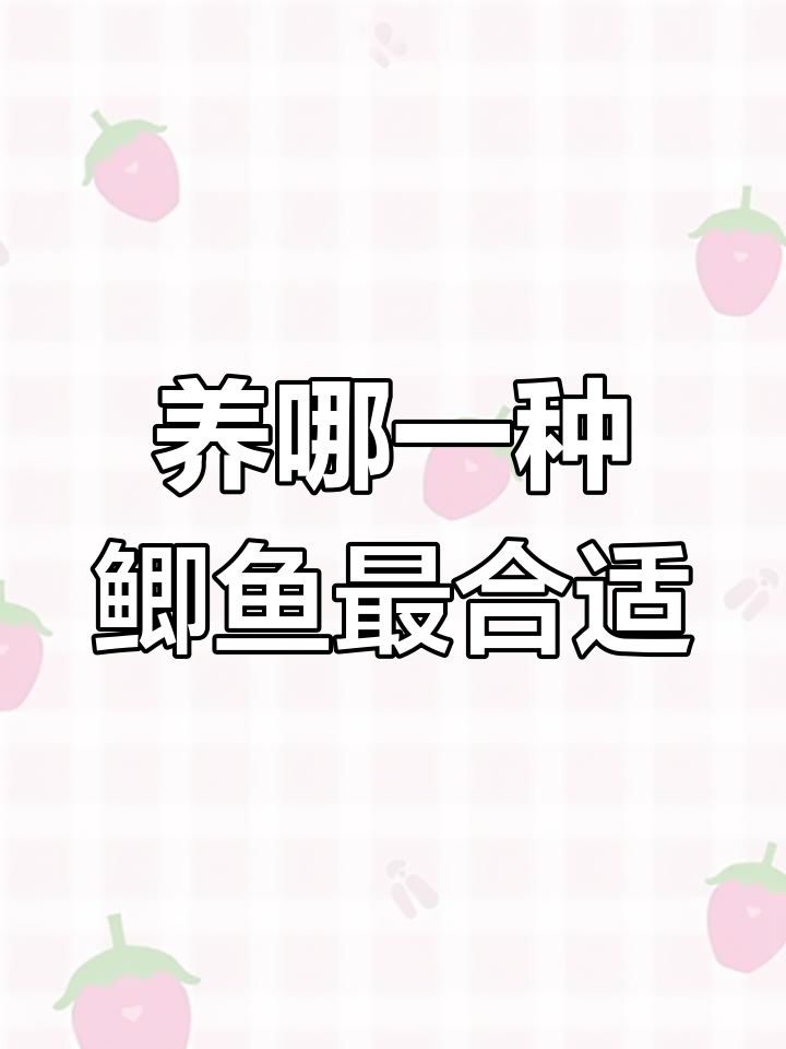 鲫鱼品种大揭秘,哪种最适合你养?