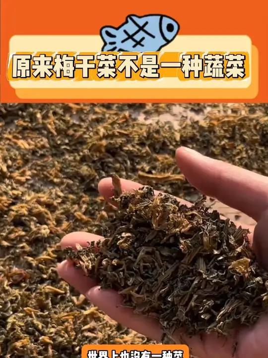 什么!原来梅干菜不是单指某种蔬菜 