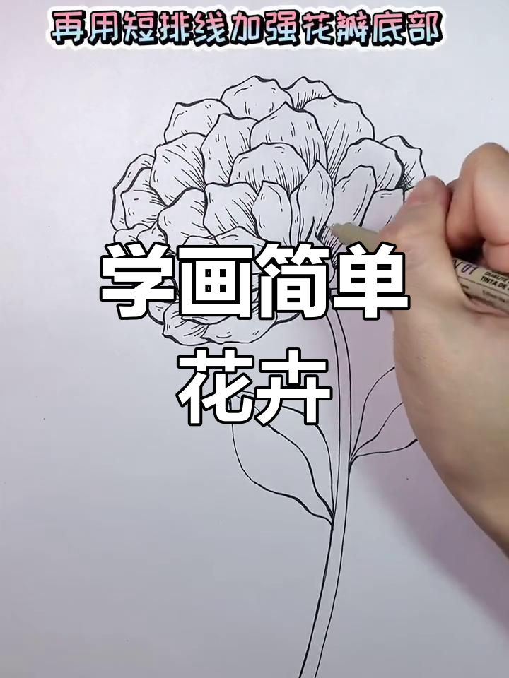 轻松学会画花卉,掌握黑白技巧