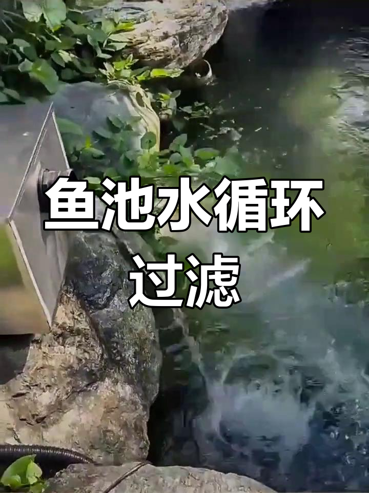 不锈钢鱼池过滤器 水循环净化设备 庭院水池净水系统
