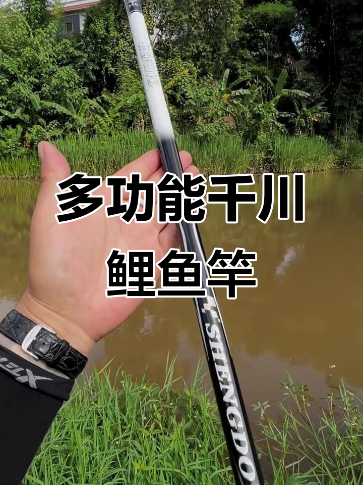 千川鲤系列鱼竿:轻巧与强劲并存,钓多种鱼类轻松应对