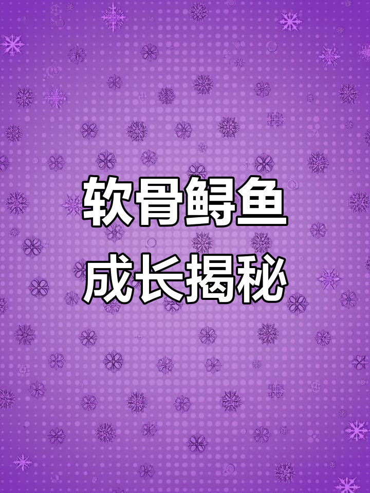 鲟鱼苗来了,软骨龙鱼长成惊人!