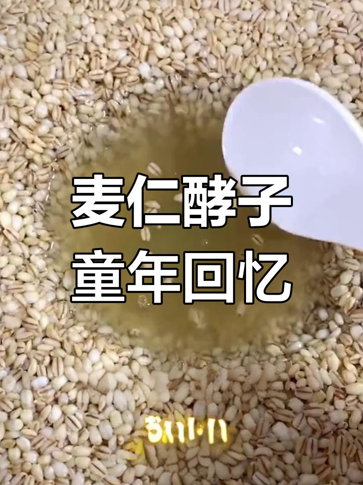 安徽阜阳传统麦仁酵子,手工酿制,童年的味道