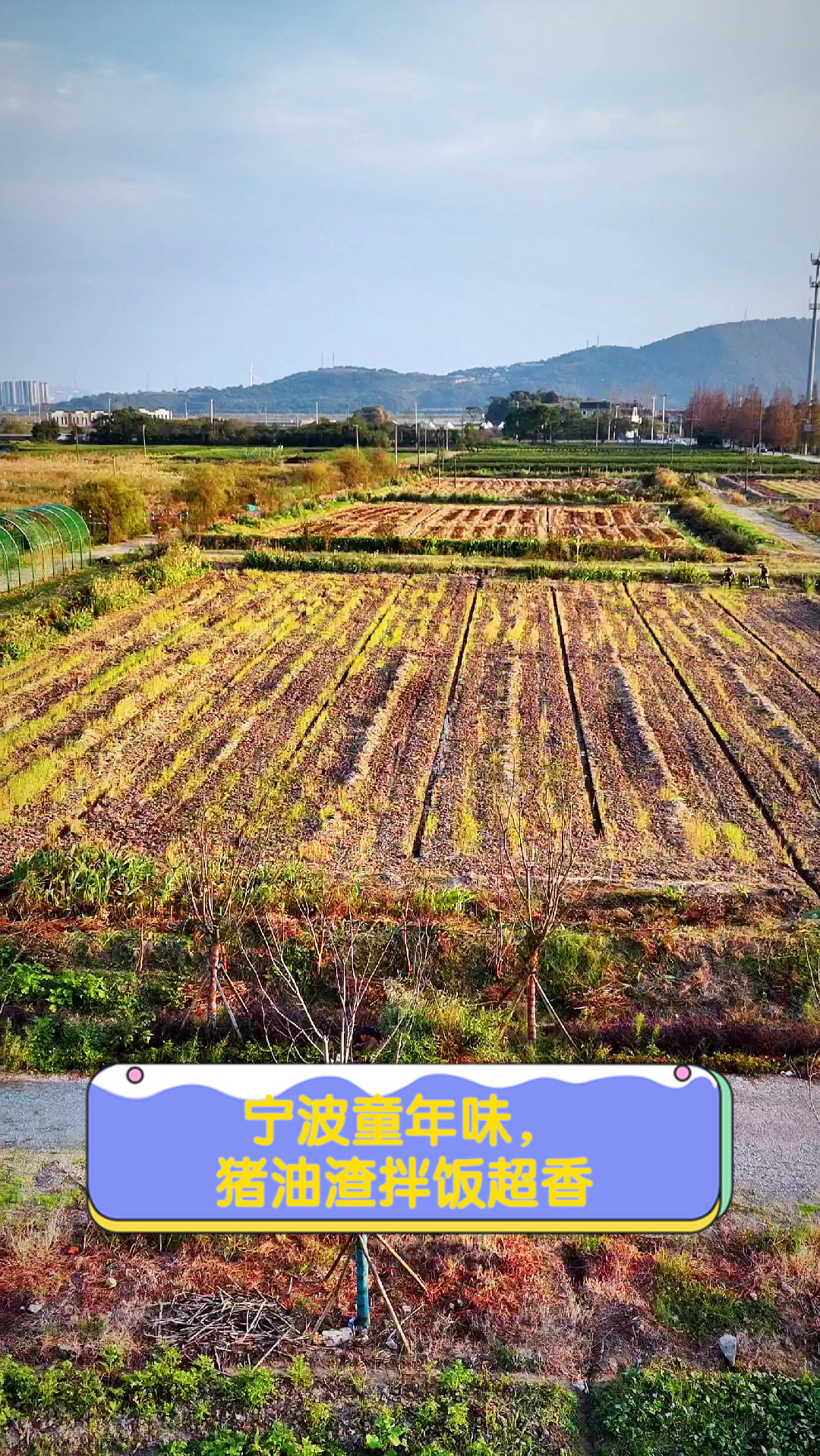 宁波童年味,猪油渣拌饭超香