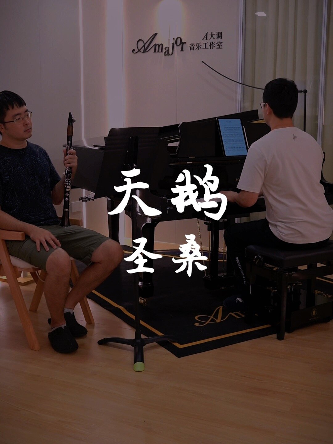 单簧管和钢琴演奏 圣桑《天鹅》