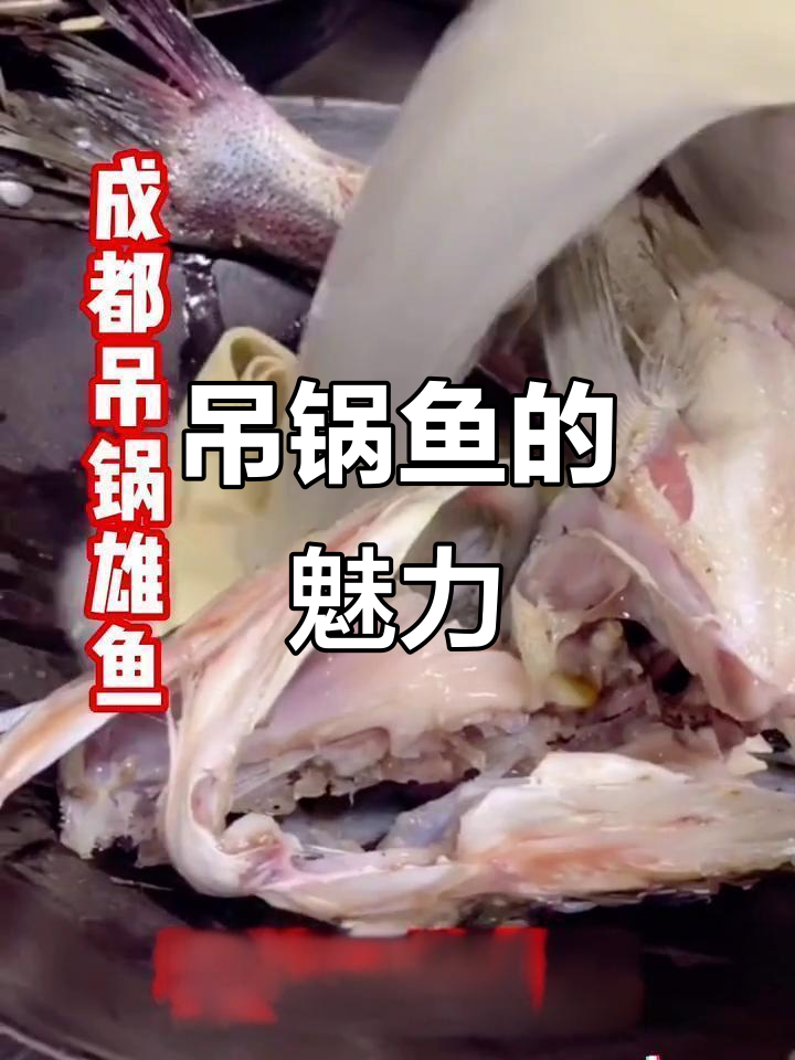 成都吊锅鱼,美味又便捷,批量制作轻松上手