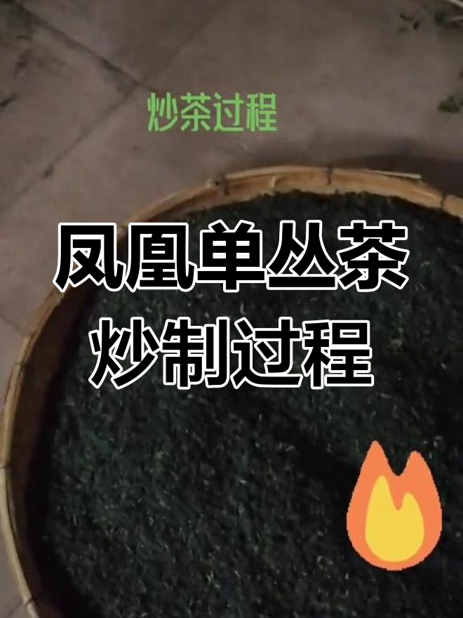 炒茶工艺揭秘:从晾叶到杀青的全程解析