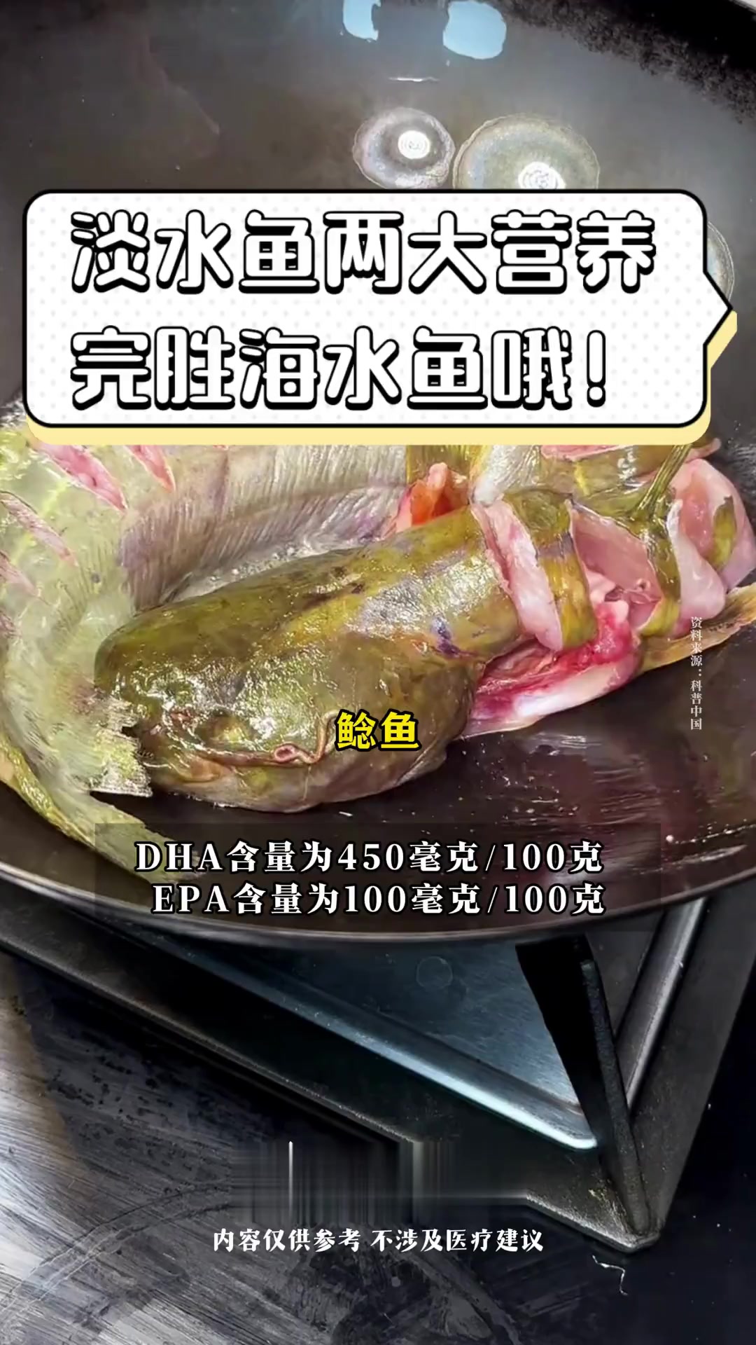 淡水鱼两大营养,完胜海水鱼哦!