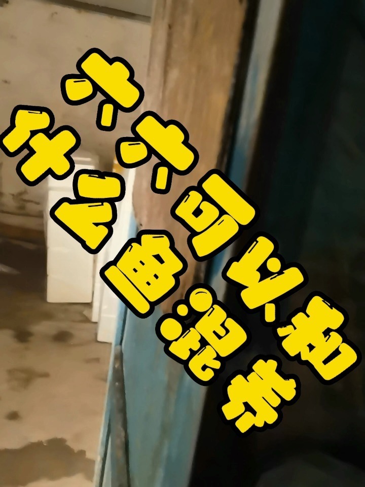 六角恐龙可以和什么鱼一起混养