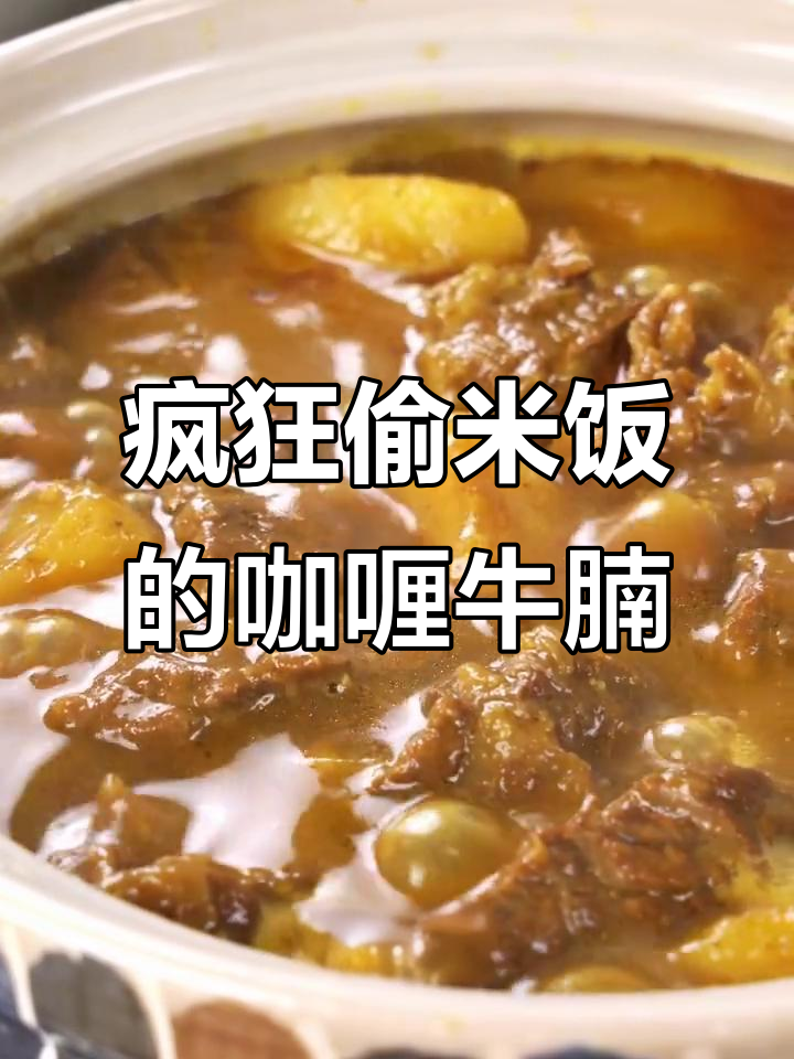 这道港式咖喱牛腩太下饭了，吃上一口就停不下来