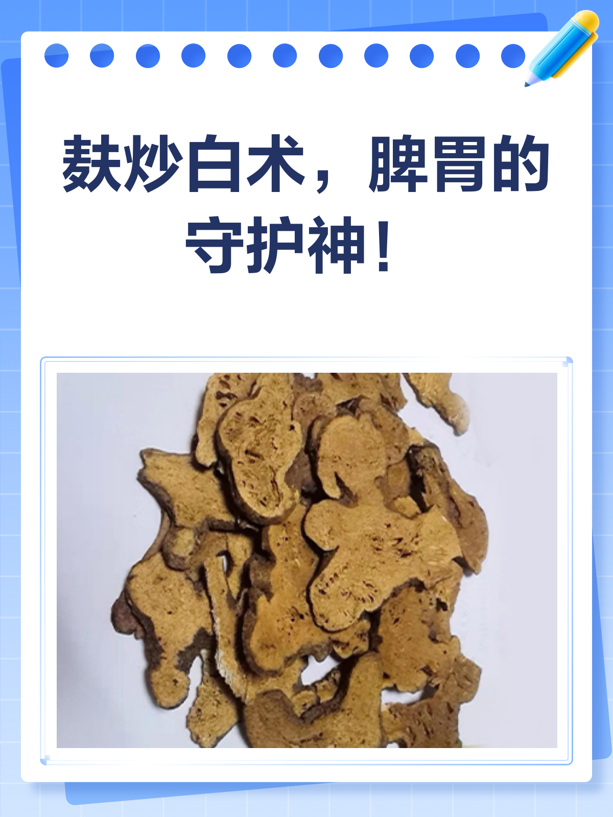 麸炒白术，脾胃的“守护神”