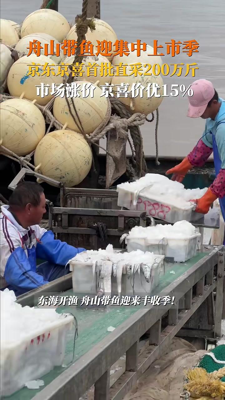 舟山带鱼京东直采价优15%