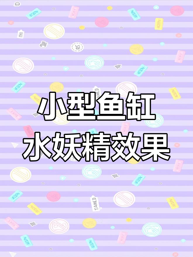 水妖精助力小型鱼缸水质提升,雷龙鱼也能养得很好