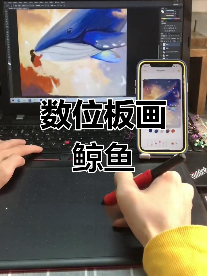 鲸鱼绘画治愈体验,数位板轻松上手