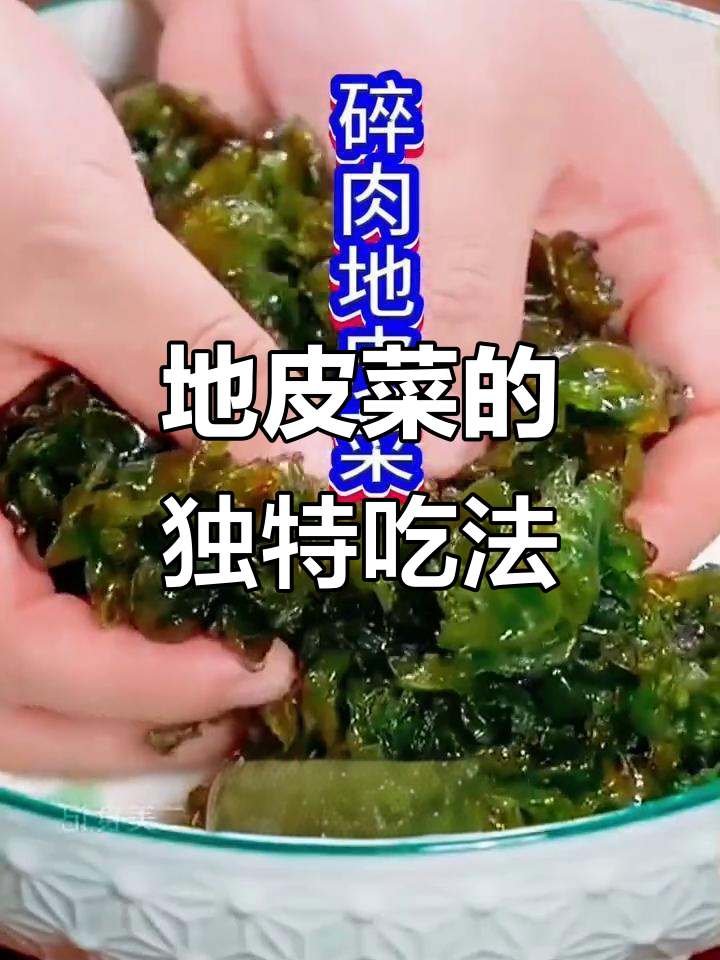 秋冬才能捡到的地皮菜,做法超简单又美味