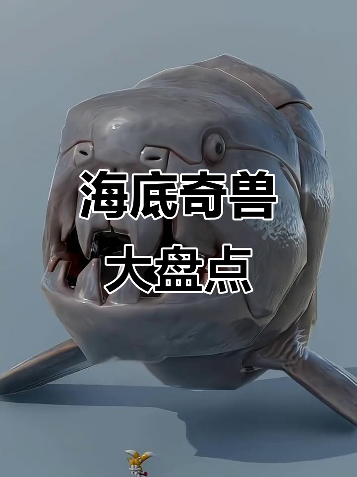食人鱼到巨齿鲨,海底怪兽大揭秘