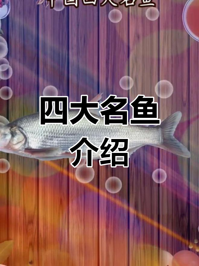 中国四大淡水鱼种类