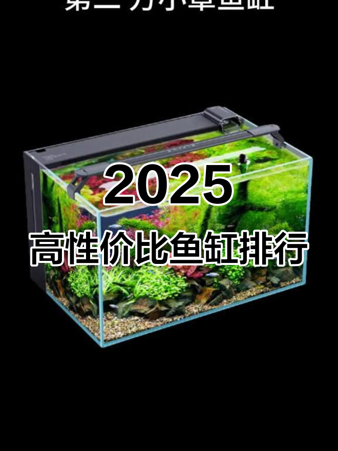 2025年最值得买的五大鱼缸,性价比超高!