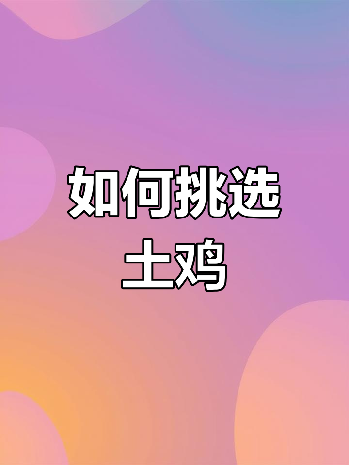 土鸡品种选择:老与新哪个更好?