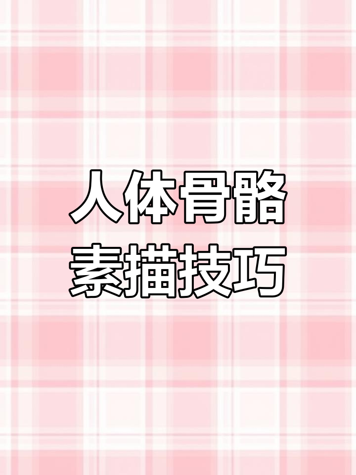 肩胛骨解剖与肌肉结构解析，画画必备知识