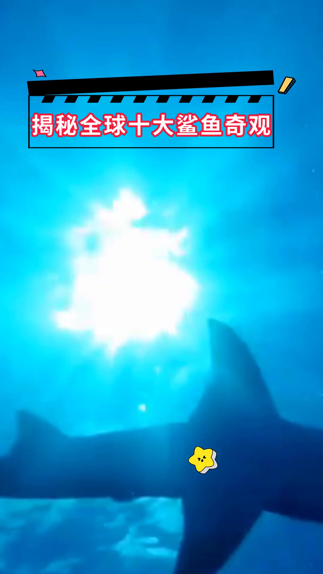 揭秘全球十大鲨鱼奇观