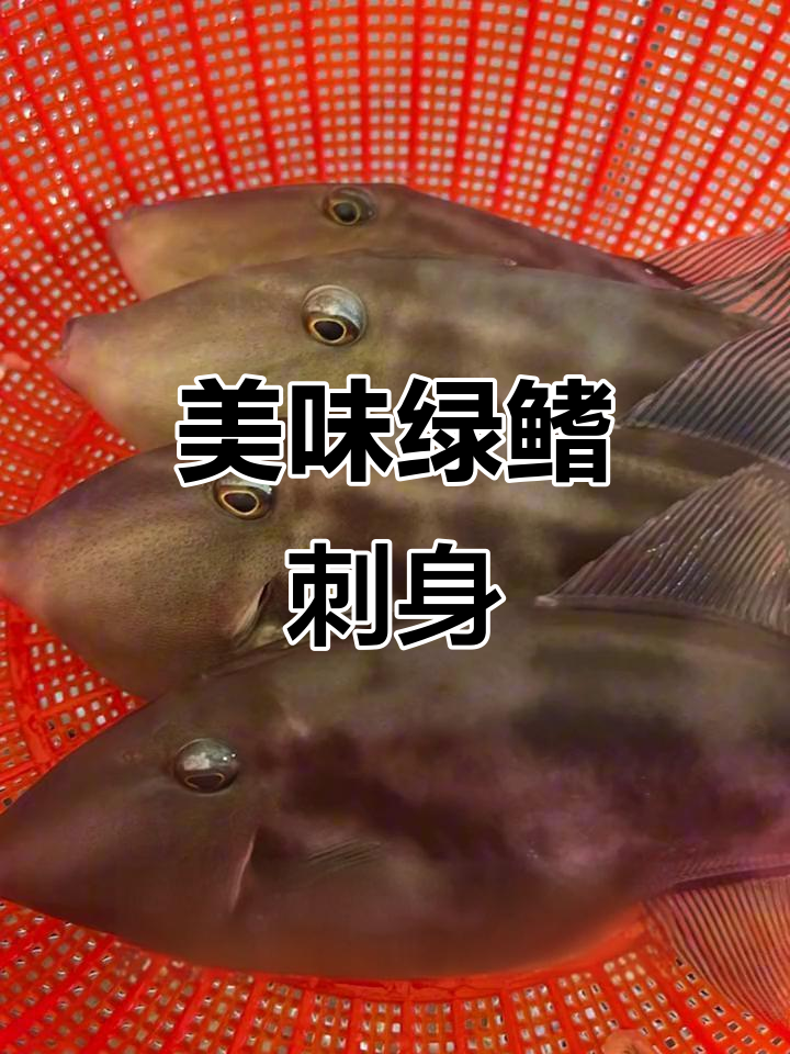 绿鳍马鲀刺身,鲜美Q弹,日料中的绝佳美味