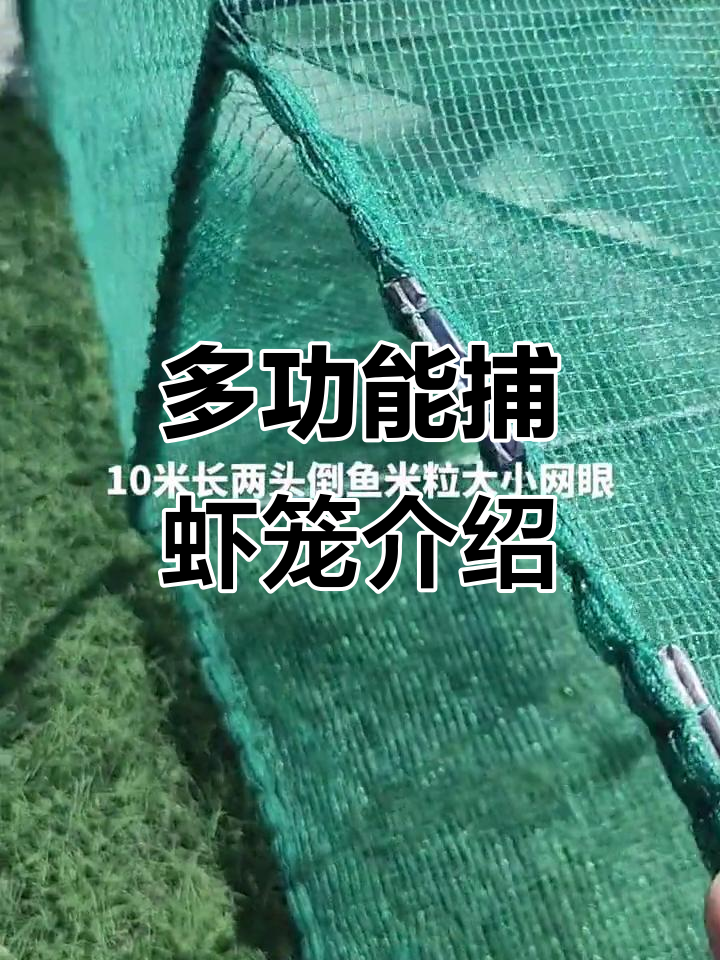捕虾笼框架与网眼设计详解,轻松捕捉大小鱼虾