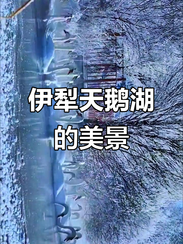 新疆伊犁天鹅湖：人与自然和谐共处，美景尽收眼底