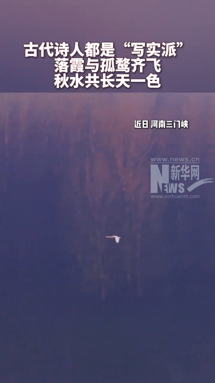 落霞与孤鹜齐飞,秋水共长天一色!古代诗人都是“写实派”