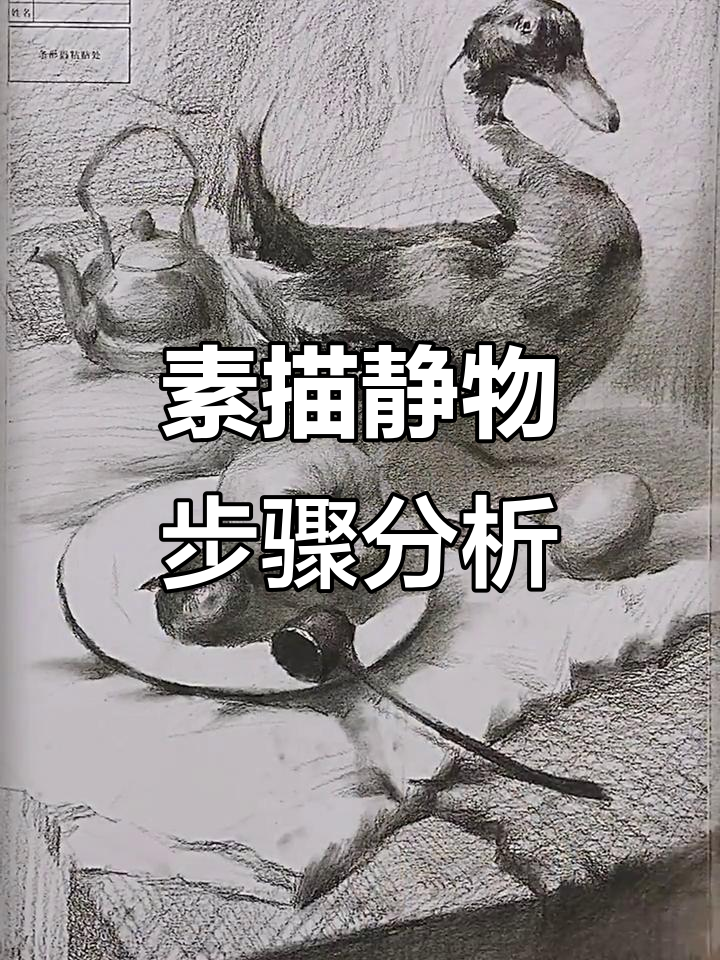 素描静物组合步骤详解:从构图到油擦技巧全解析