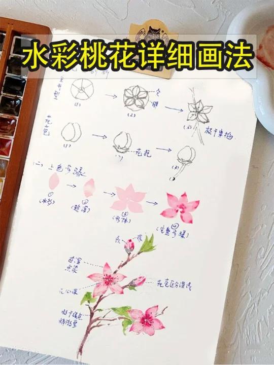 水彩桃花教程|以及开始期待春天了~
