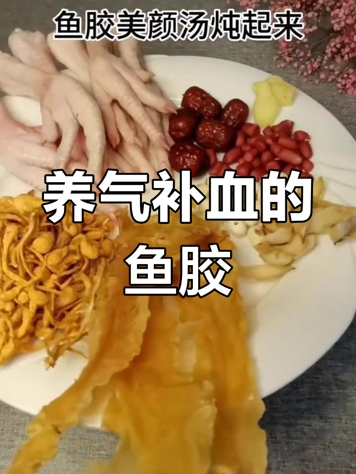鱼胶汤助力气血调理