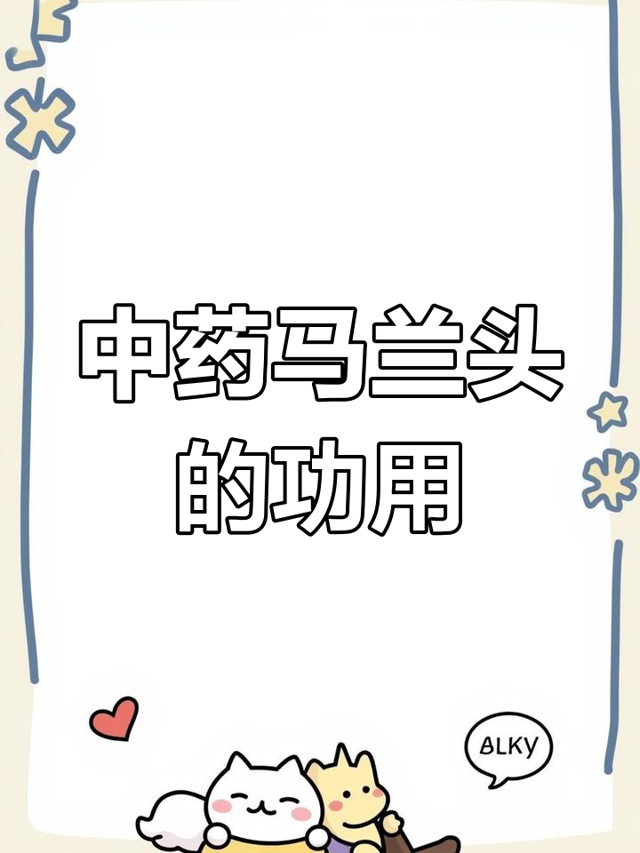 马兰头药用功效解析