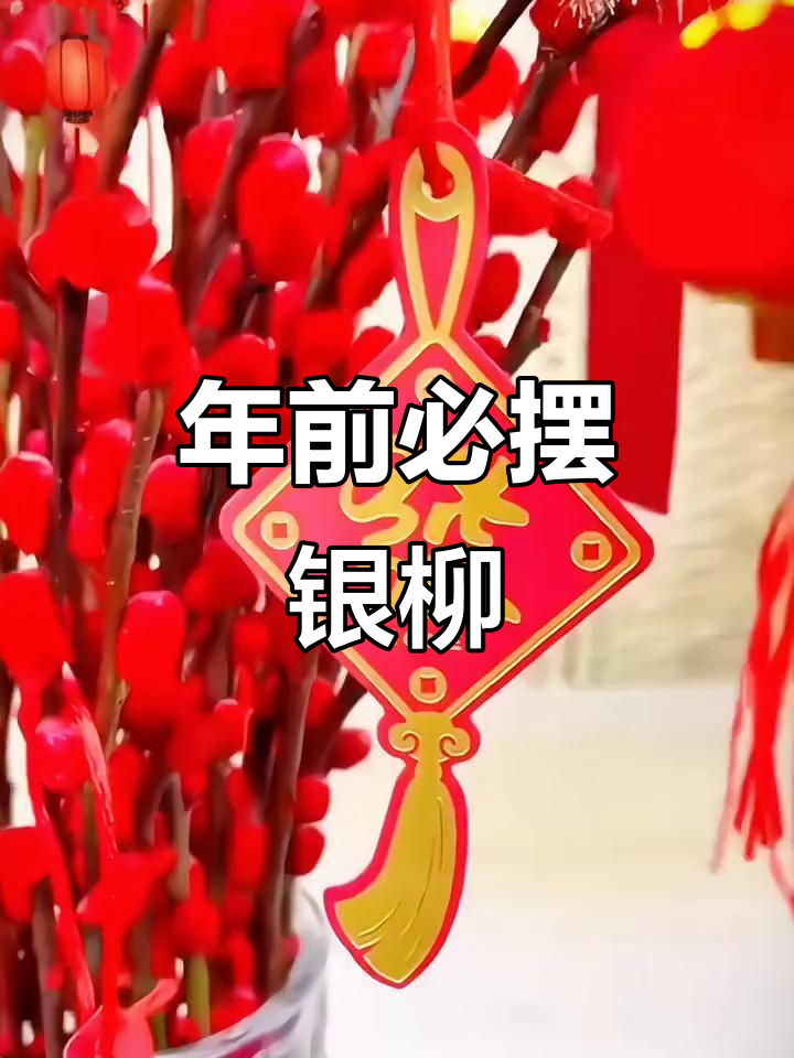过年家里放银柳,招财进宝好运连连
