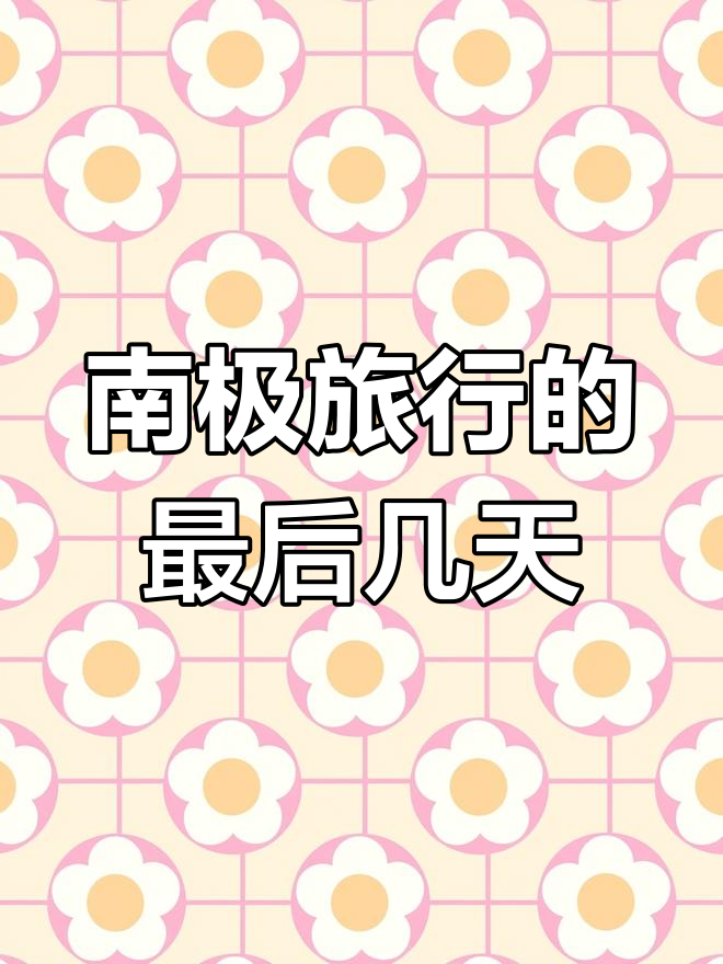 南极旅行:从企鹅到冰川,每天都在纠结是否去餐厅