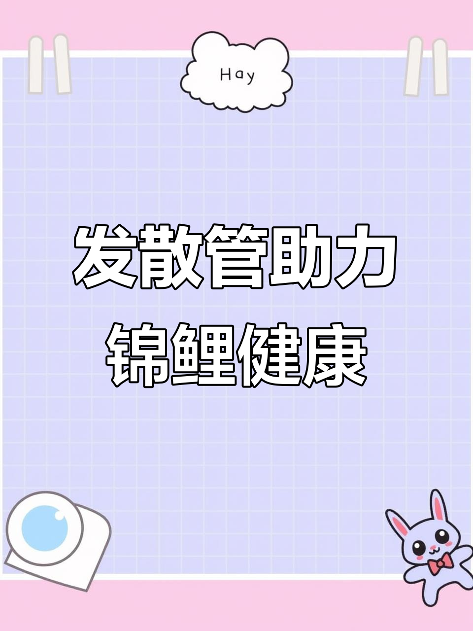 鱼池中的关键设备:发散管如何让水质更稳定