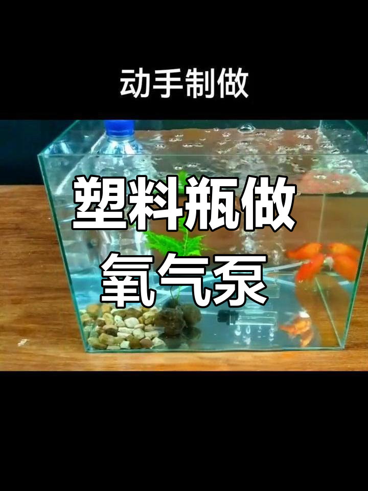 用废旧物品制作简易鱼缸打氧泵
